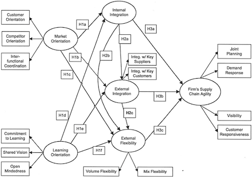 Hypothesized relationships