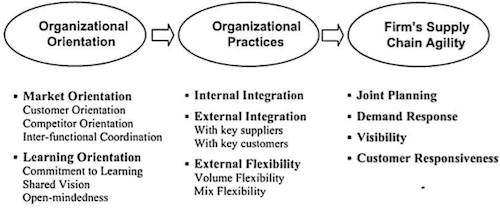  Overall model structure