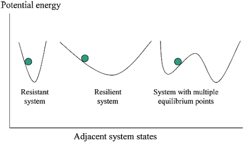 Examples of system behavior